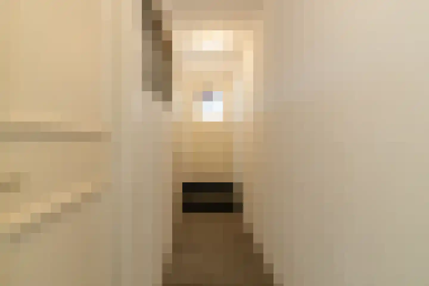 Heerenhoogweg 40 Wijckel thumbnail 41