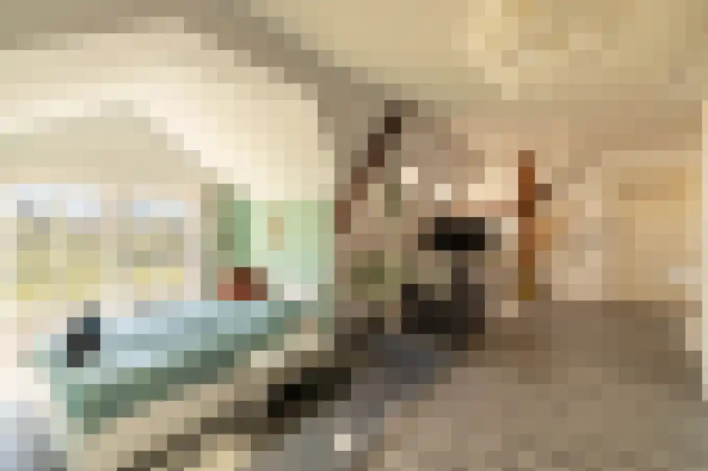 Heerenhoogweg 40 Wijckel thumbnail 42