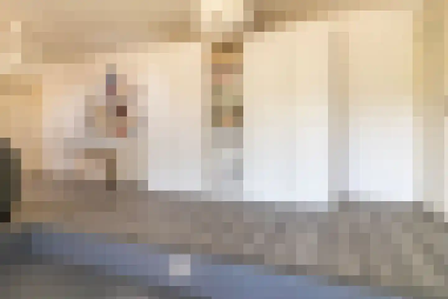 Heerenhoogweg 40 Wijckel thumbnail 43
