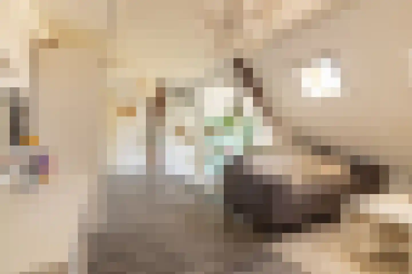 Heerenhoogweg 40 Wijckel thumbnail 44