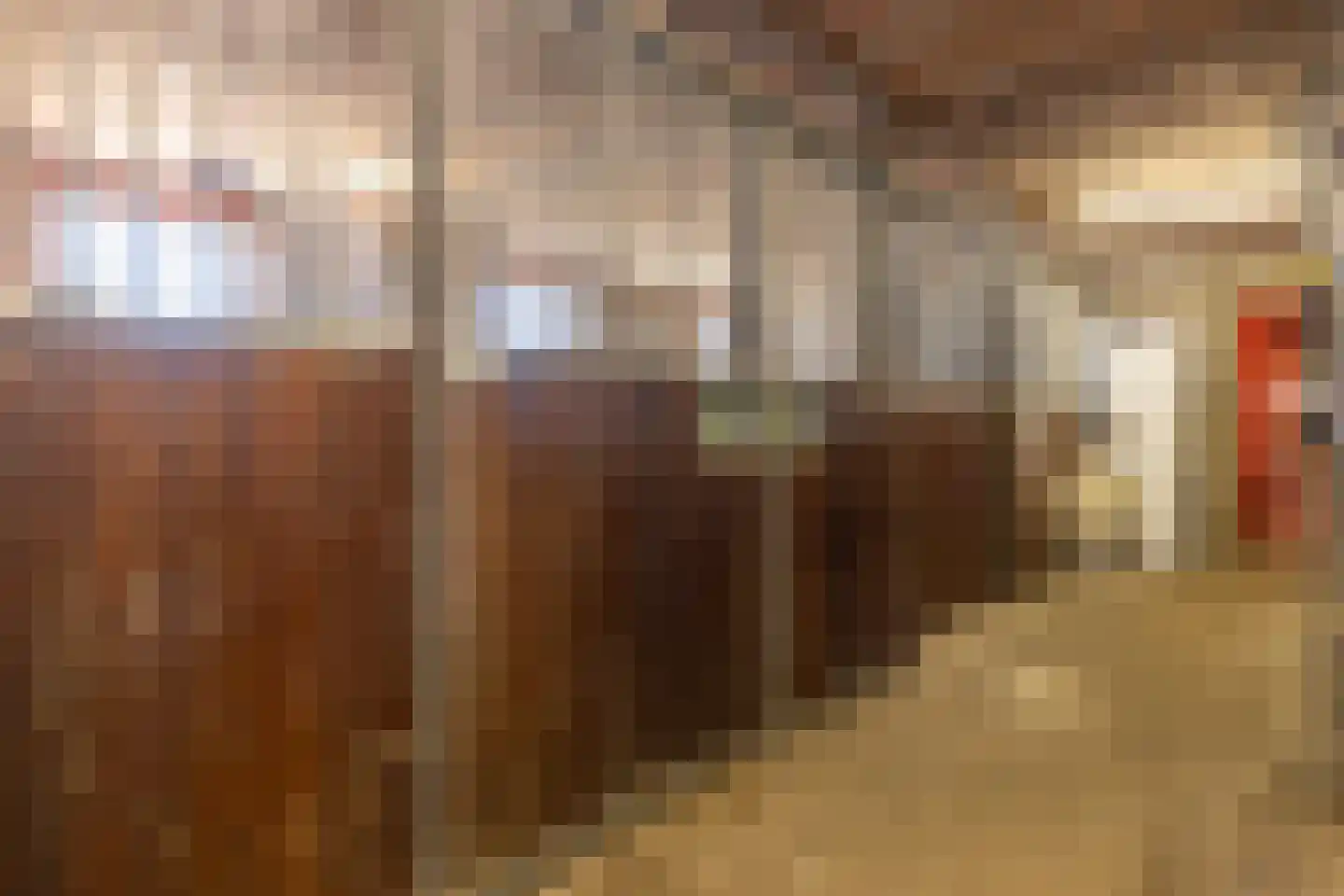 Heerenhoogweg 40 Wijckel thumbnail 45