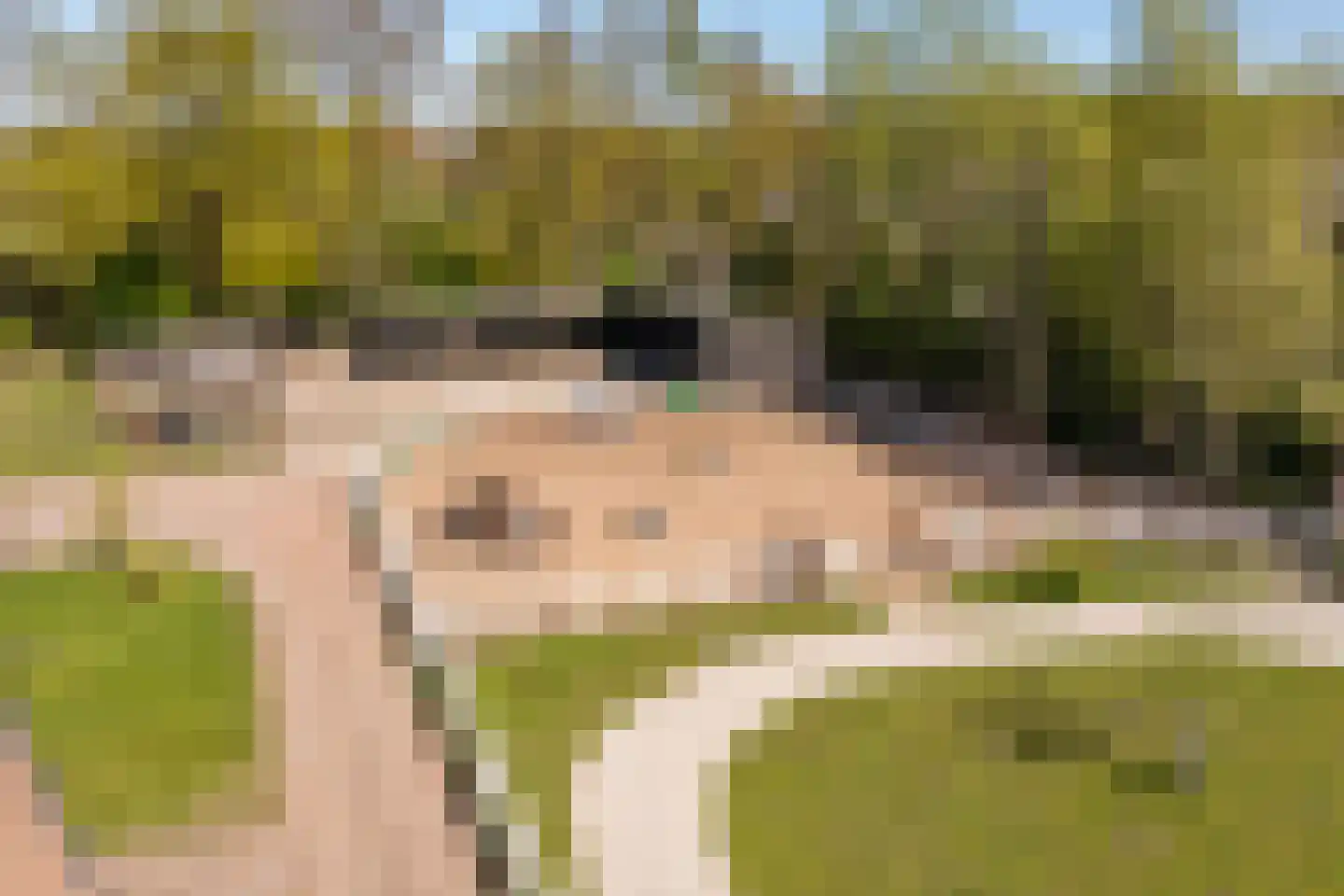 Heerenhoogweg 40 Wijckel thumbnail 49