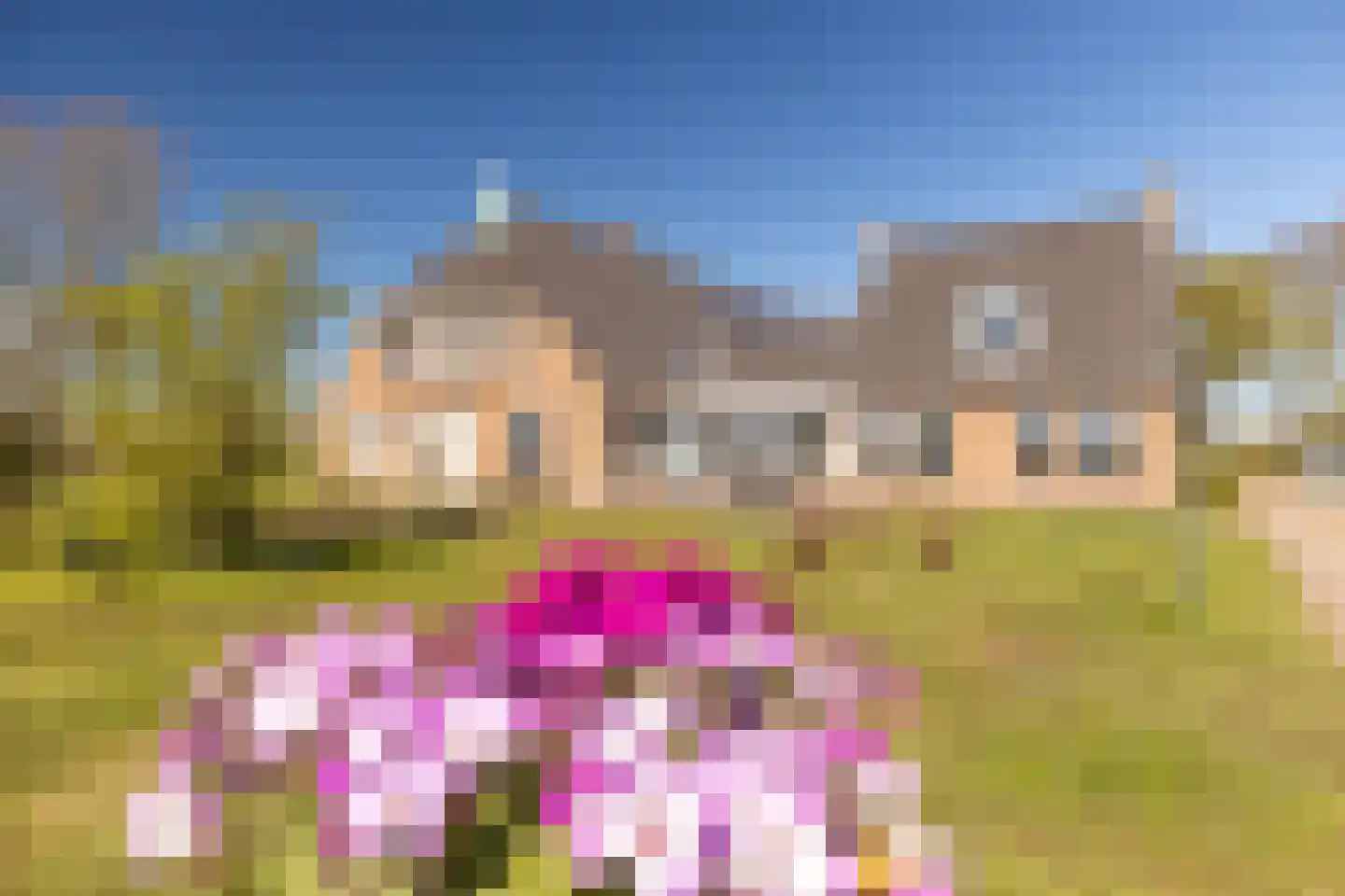 Heerenhoogweg 40 Wijckel thumbnail 6