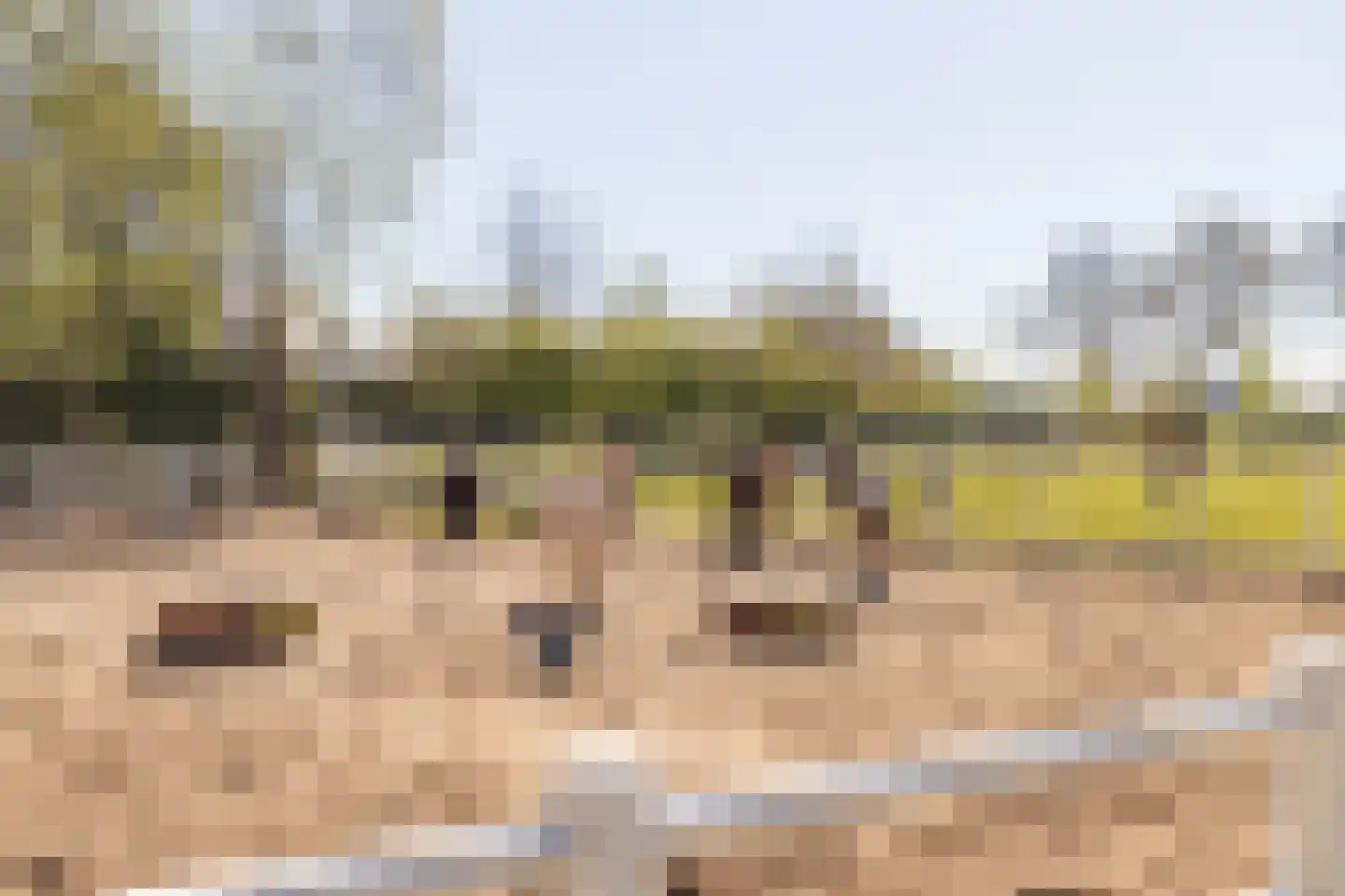 Heerenhoogweg 40 Wijckel thumbnail 9