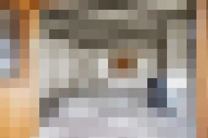 Heerenhoogweg 56 Wijckel thumbnail 13