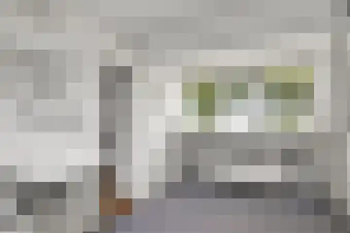 Heerenhoogweg 56 Wijckel thumbnail 30