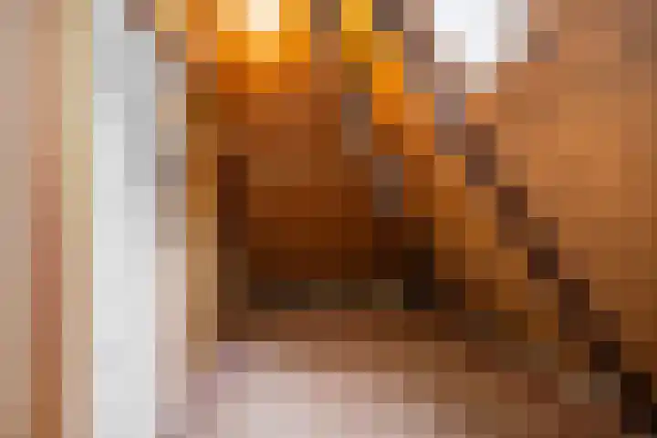 Heerenhoogweg 56 Wijckel thumbnail 34