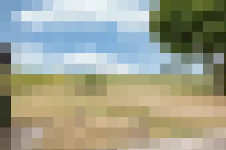 Heerenhoogweg 56 Wijckel thumbnail 36
