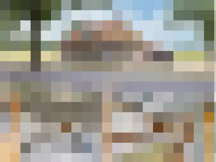 Heerenhoogweg 56 Wijckel thumbnail 4