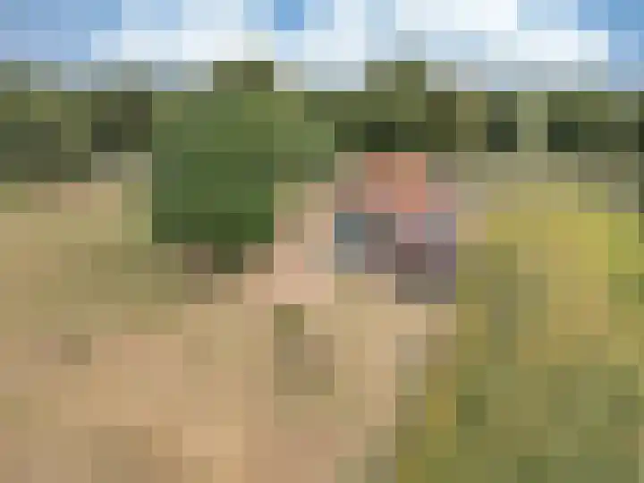 Heerenhoogweg 56 Wijckel thumbnail 41