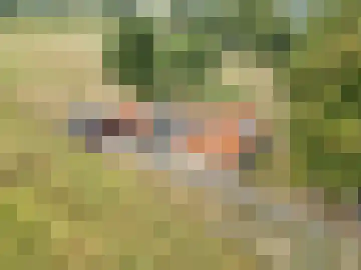 Heerenhoogweg 56 Wijckel thumbnail 42