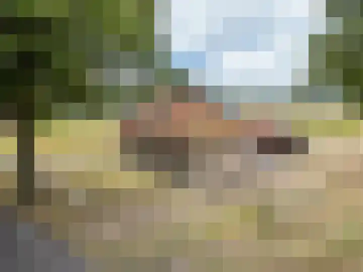 Heerenhoogweg 56 Wijckel thumbnail 43