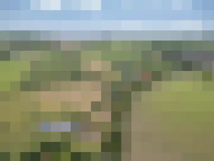 Heerenhoogweg 56 Wijckel thumbnail 44