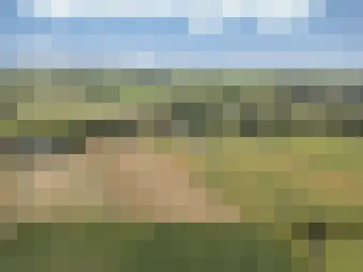 Heerenhoogweg 56 Wijckel thumbnail 45