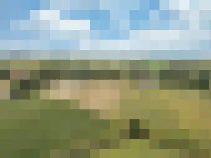 Heerenhoogweg 56 Wijckel thumbnail 46