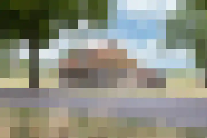 Heerenhoogweg 56 Wijckel thumbnail 6