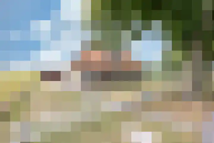 Heerenhoogweg 56 Wijckel thumbnail 9