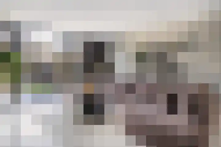 Heerenhuis 16 Dordrecht thumbnail 12