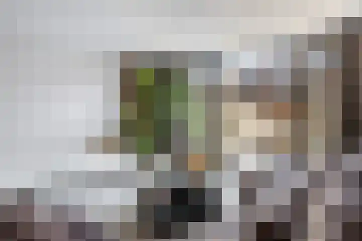 Heerenhuis 16 Dordrecht thumbnail 13