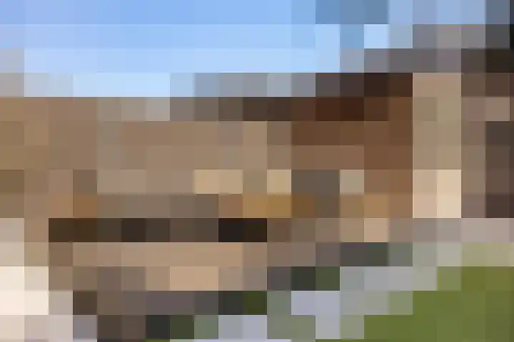 Heerenhuis 16 Dordrecht thumbnail 15