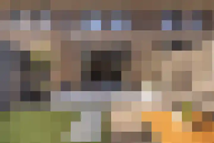 Heerenhuis 16 Dordrecht thumbnail 17