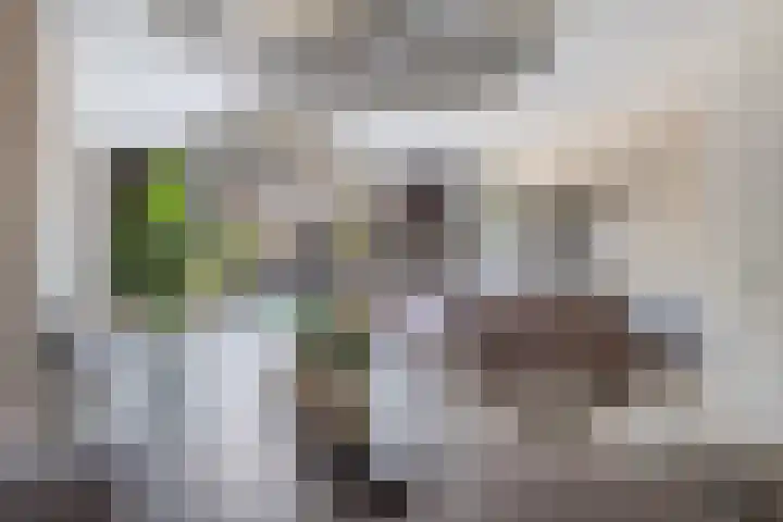 Heerenhuis 16 Dordrecht thumbnail 25