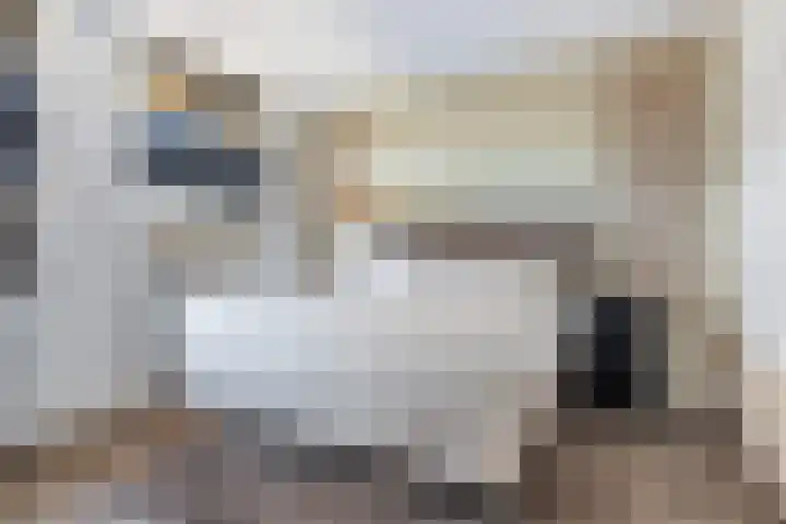 Heerenhuis 16 Dordrecht thumbnail 27