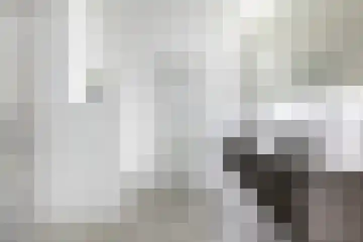 Heerenhuis 16 Dordrecht thumbnail 4