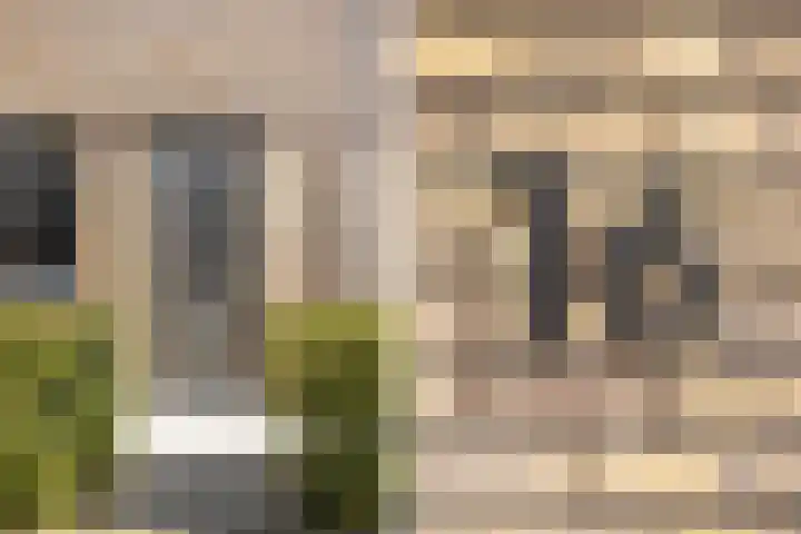 Heerenhuis 16 Dordrecht thumbnail 8