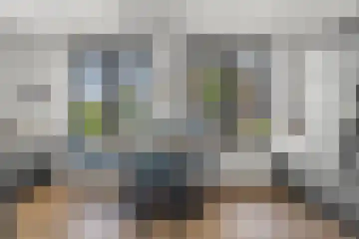 Heerenhuis 25 Dordrecht thumbnail 5
