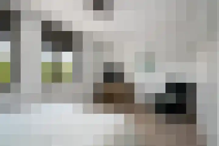 Heerenhuis 4 Dordrecht thumbnail 18