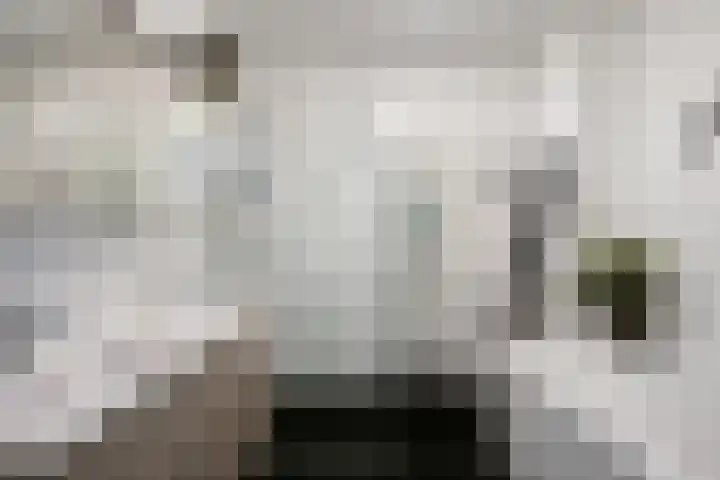 Heerenhuis 4 Dordrecht thumbnail 23