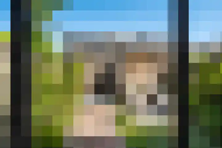 Heerenhuis 4 Dordrecht thumbnail 30