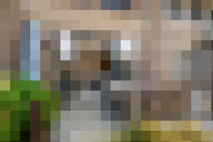 Heerenhuis 4 Dordrecht thumbnail 32