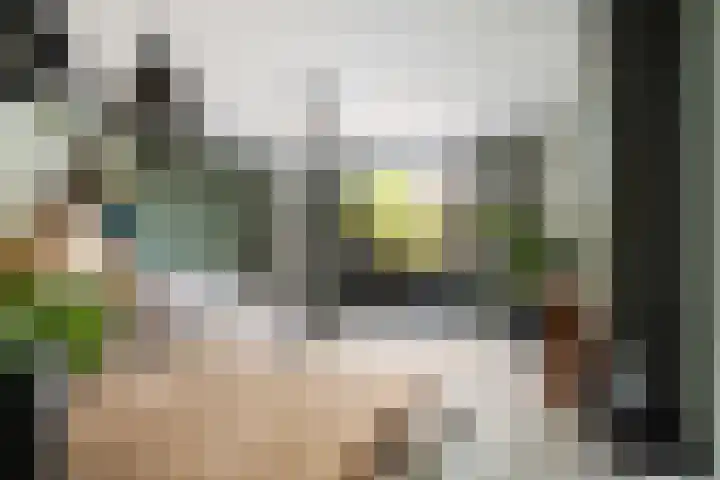Heerenhuis 4 Dordrecht thumbnail 5