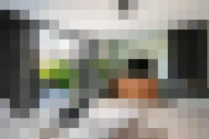 Heerenhuis 4 Dordrecht thumbnail 6