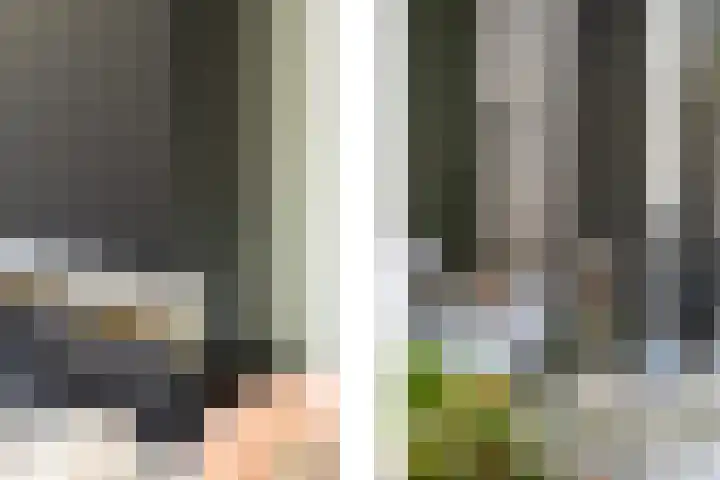Heerenhuis 4 Dordrecht thumbnail 8