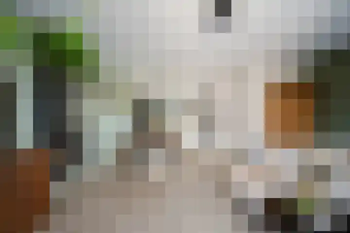 Heerenhuis 4 Dordrecht thumbnail 9