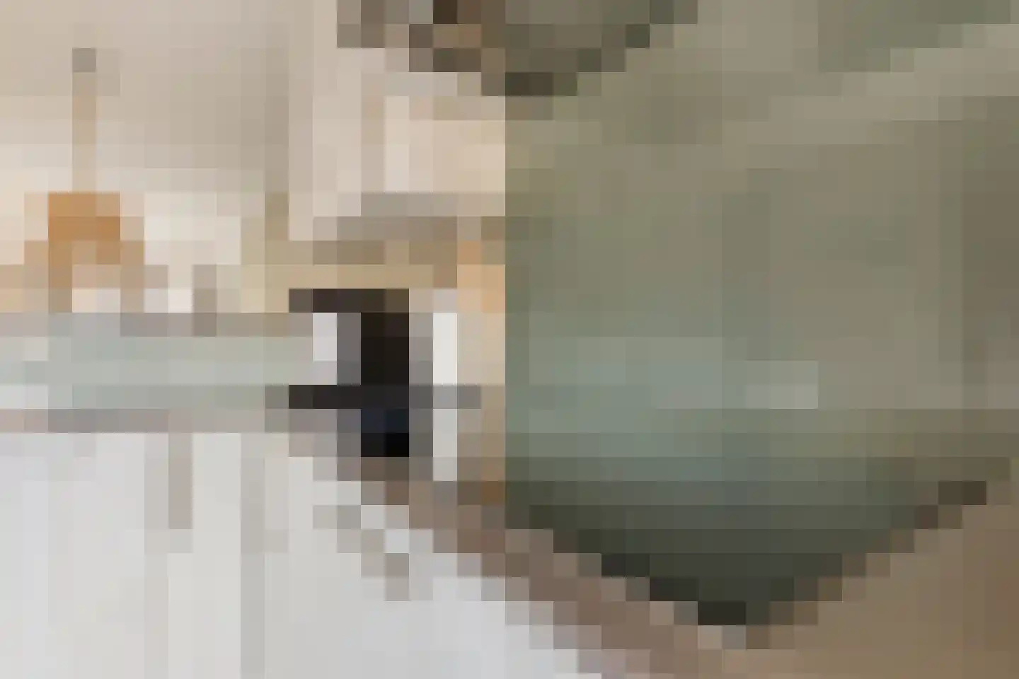 Heerenlaan 13 Heenvliet thumbnail 12