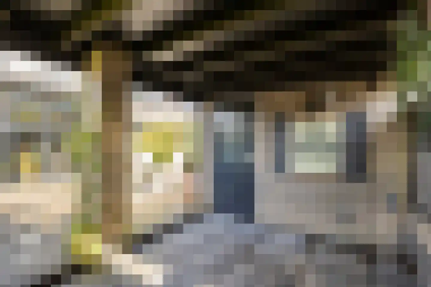 Heerenlaan 13 Heenvliet thumbnail 36