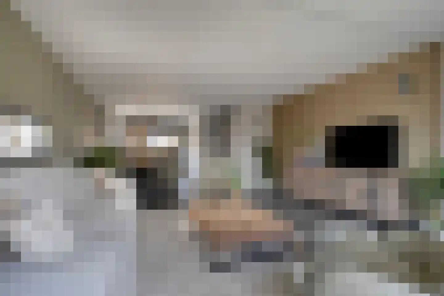Heerenlaan 13 Heenvliet thumbnail 5