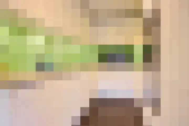 Heerenlandstraat 23 Guttecoven thumbnail 12
