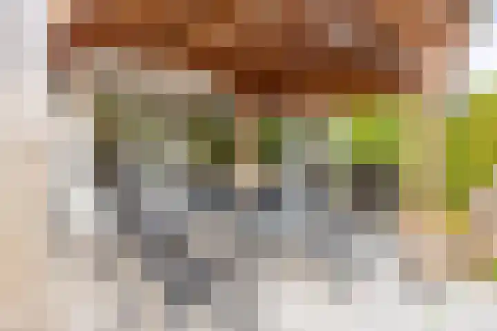 Heerenlandstraat 23 Guttecoven thumbnail 15