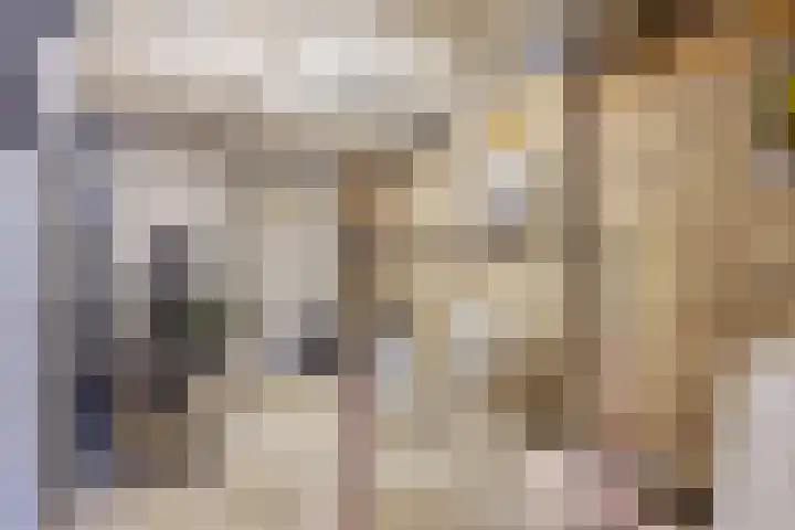 Heerenlandstraat 23 Guttecoven thumbnail 30