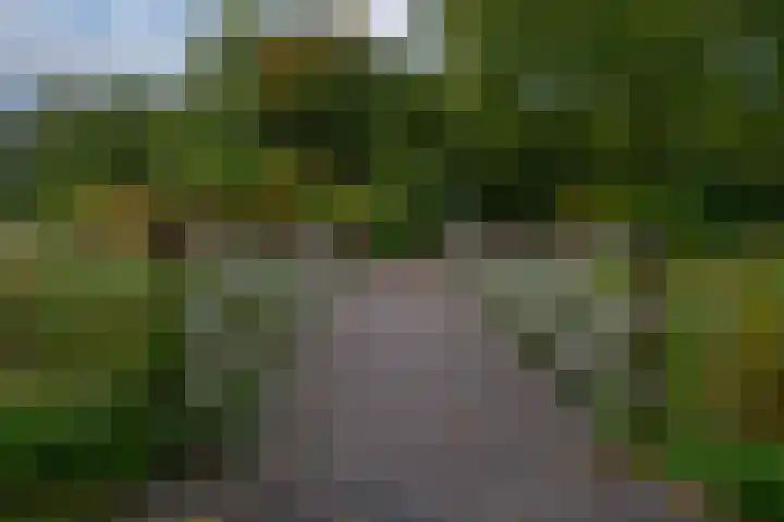 Heerenmäten 67 Zevenaar thumbnail 32