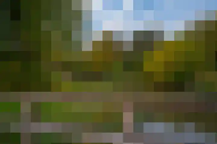 Heerenmäten 67 Zevenaar thumbnail 33