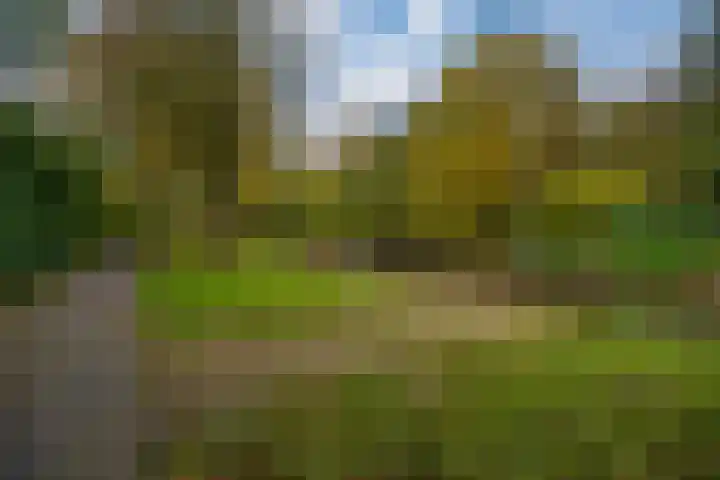 Heerenmäten 67 Zevenaar thumbnail 34