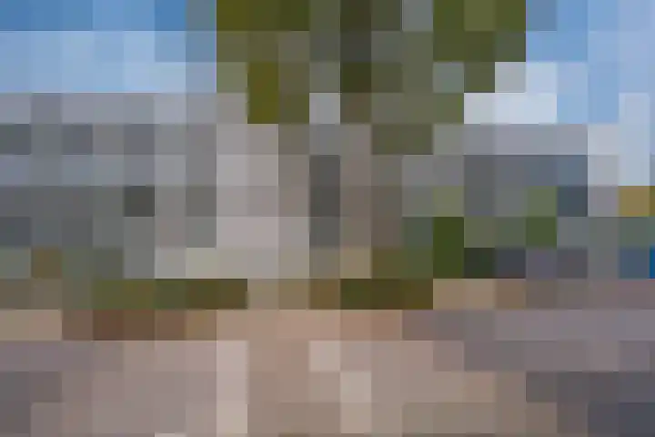 Heerenmäten 67 Zevenaar thumbnail 5