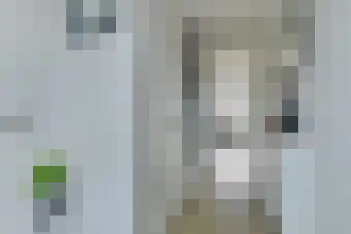 Heerensingel 81 Spanbroek thumbnail 8