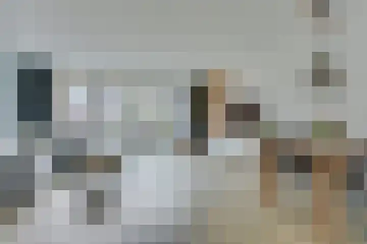 Heerensingel 81 Spanbroek thumbnail 9